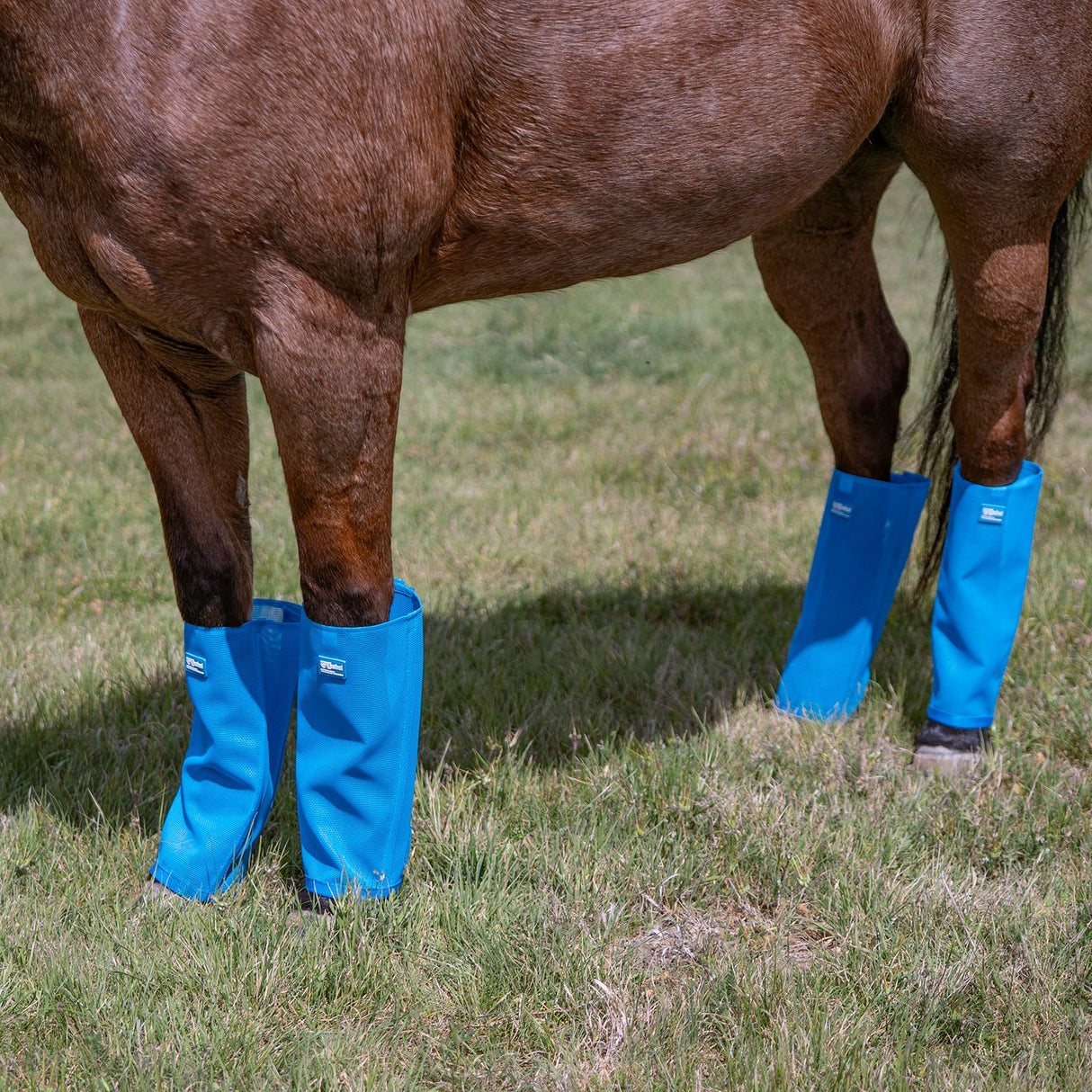 Cashel Crusader Blue Fly Leg Guards- Set of 4