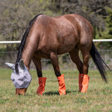 Cashel Crusader Orange Fly Leg Guards- Set of 4