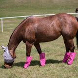 Cashel Crusader Pink Fly Leg Guards- Set of 4