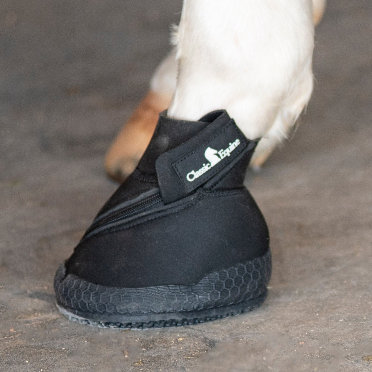 Classic Equine Medicine Hoof Boot