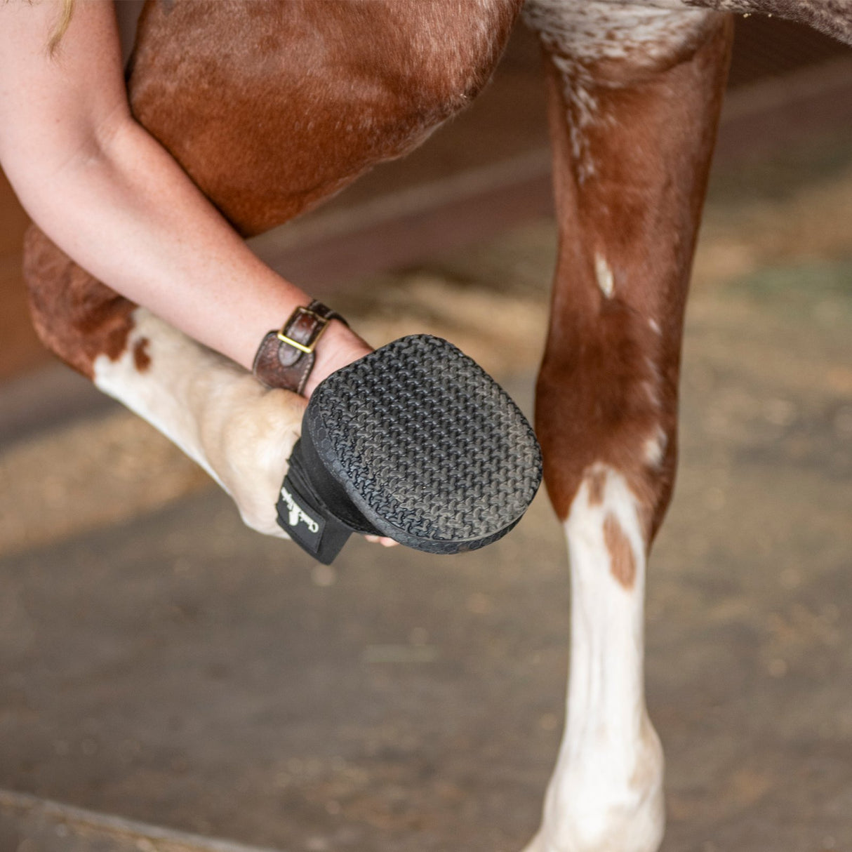 Classic Equine Medicine Hoof Boot