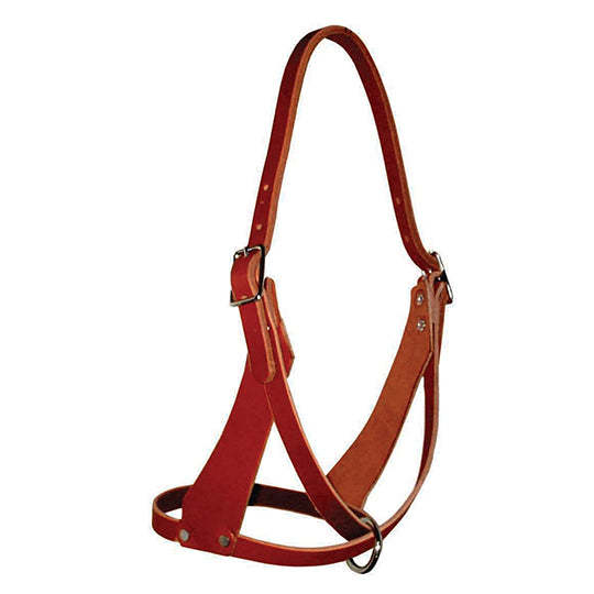 Berlin Custom Leather Figure Eight Foal Halter
