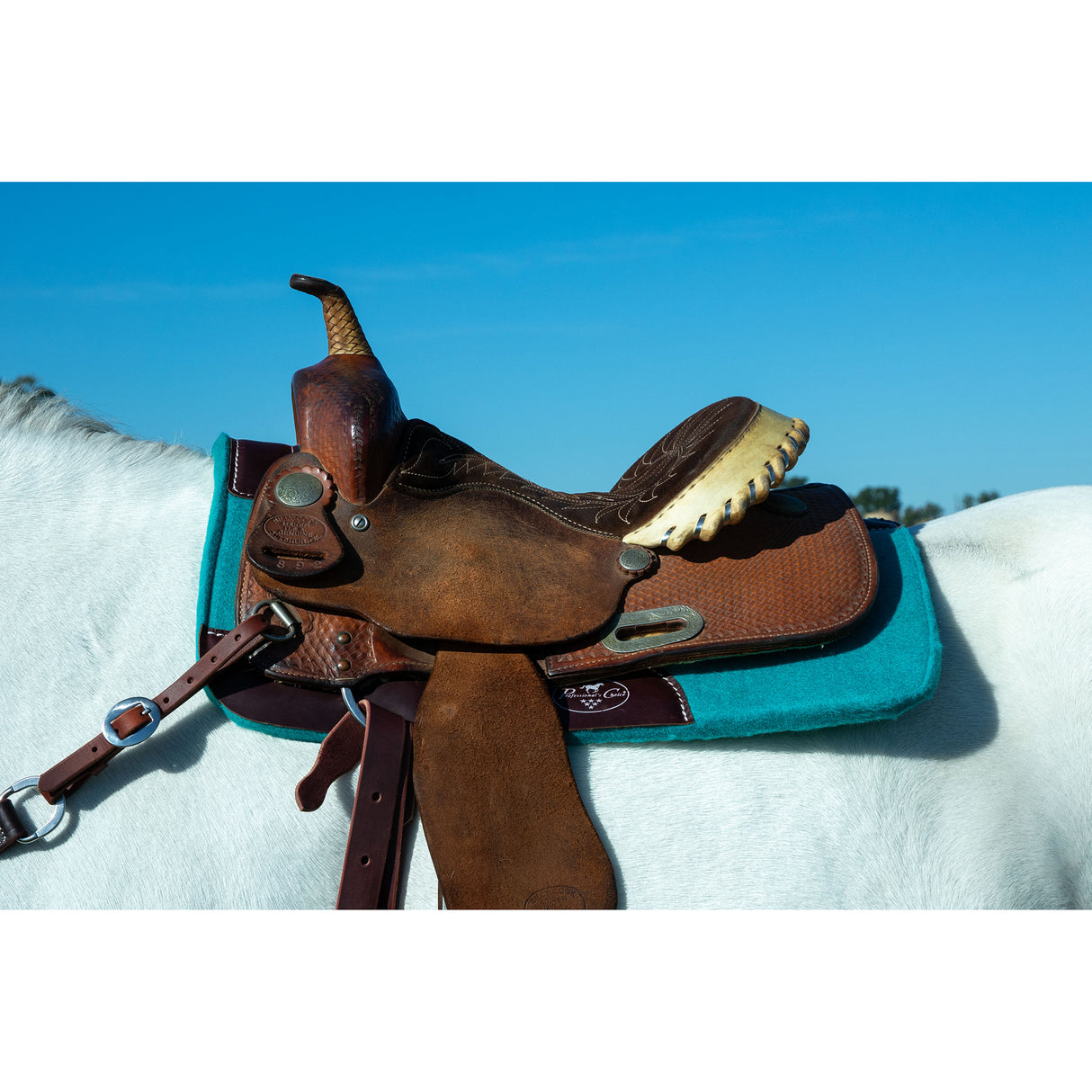 Professional's Choice Pacific Felt Pony Saddle Pad