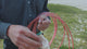Classic Deluxe Roping Gloves- 12 Pack
