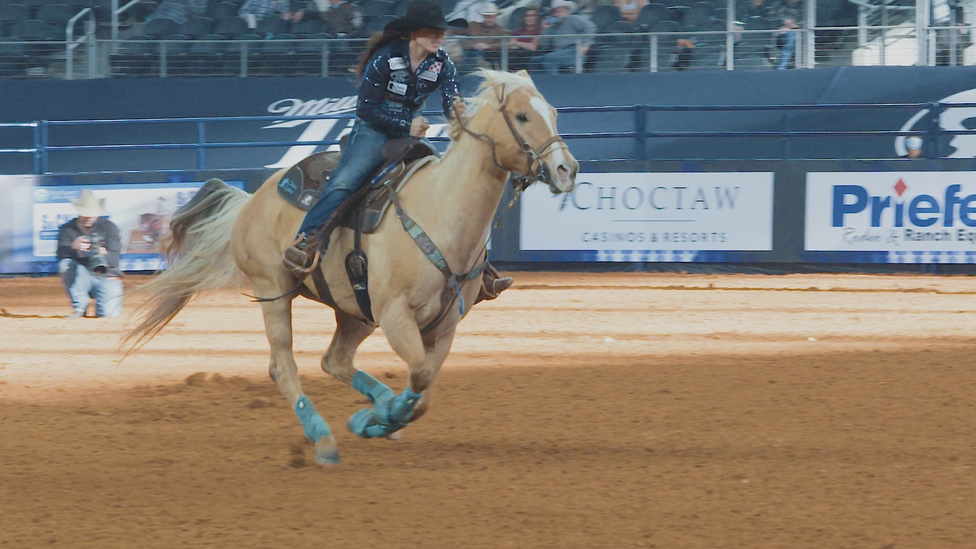 Classic Equine Flexion by Legacy Hind Protective Boots- Dark Denim