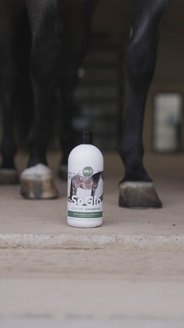 Solo Select SoGlo: Equine Shampoo- 32oz.
