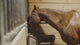 Professional's Choice "The Dare" Cribbing Collar
