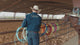 Rattler Ropes Company GT4 4 Strand Heel Team Rope 35'