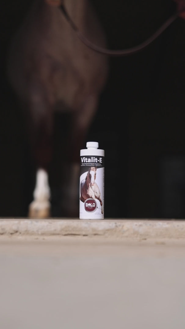 Solo Select Vitalit-E: Vitamin E Liquid Horse Supplement