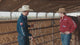 White Rattler Racer Calf Piggin String- Purple Eye 5/16"