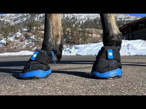 EasyCare Inc. Rx2- Single Boot