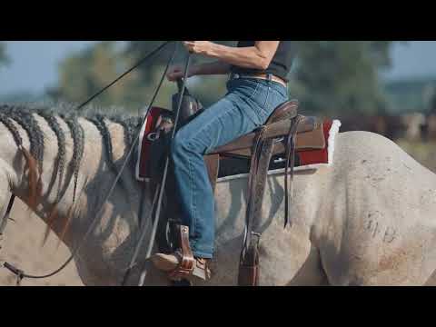 Classic Equine 3/4" Felt Top Performance Trainer Saddle Pad- Maroon