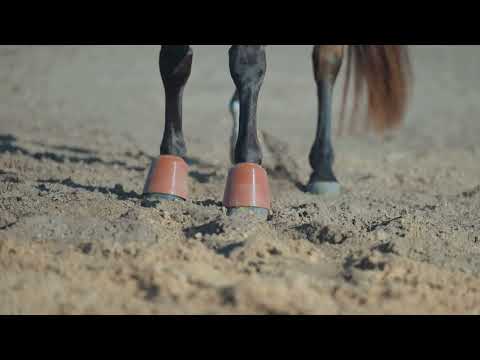 Classic Equine Shoeguard Rubber Pull-On Bell Boot Covers (made to be worn over bell boots)