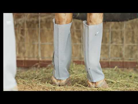 Cashel Crusader Grey Fly Leg Guards- Set of 4