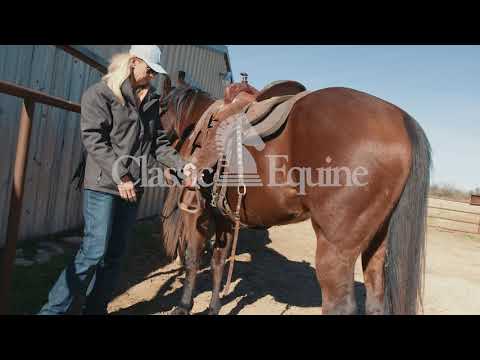 Classic Equine Aura Cinch