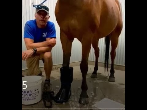 EasyCare Inc. Easyboot Remedy Hoof Ice Boot