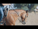 Classic Equine 3/4" Felt Top Performance Trainer Saddle Pad- Black
