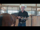 Classic Equine Leather Skid Boots