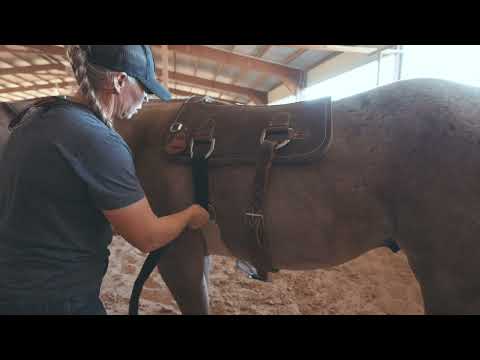 Martin Saddlery Colt Starting Training Pad