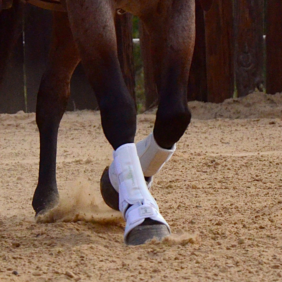 Classic Equine Pro-Tech Front Splint Boots- White