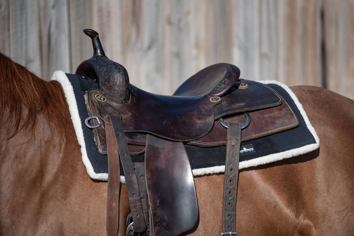 Classic Equine 3/4" Performance Trainer Saddle Pad- Black