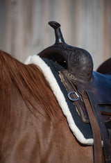 Classic Equine 3/4" Performance Trainer Saddle Pad- Black
