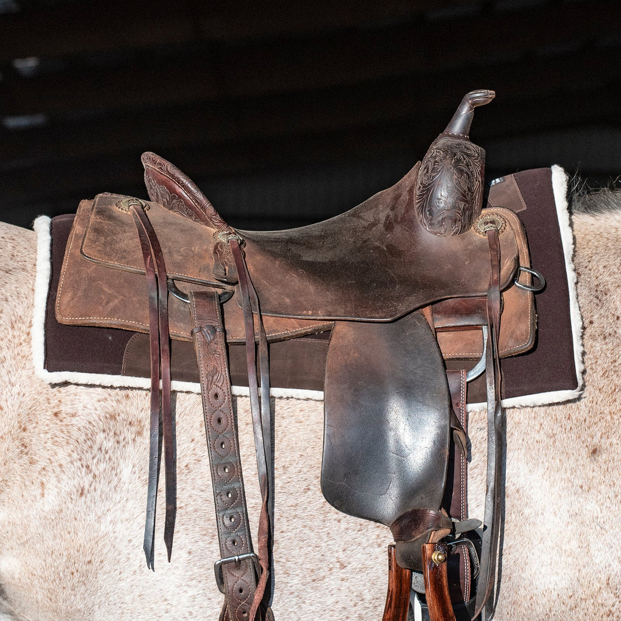 Classic Equine 3/4" Felt Top Performance Trainer Saddle Pad- Coffee