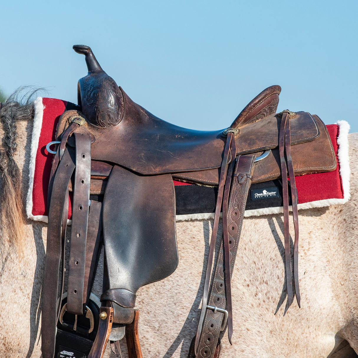 Classic Equine 3/4" Felt Top Performance Trainer Saddle Pad- Maroon