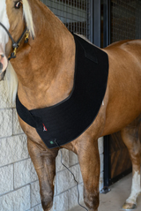 XLR8 Equine Redline VersaWrap