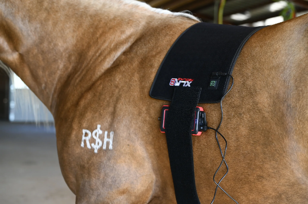 XLR8 Equine Redline VersaWrap