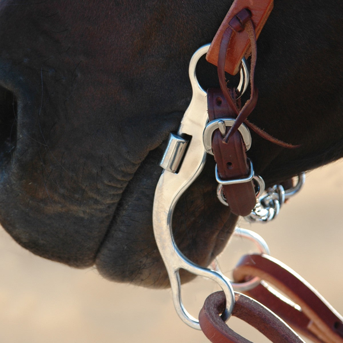 Classic Equine Short Shank Correction Port Bit