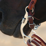 Classic Equine Short Shank Correction Port Bit