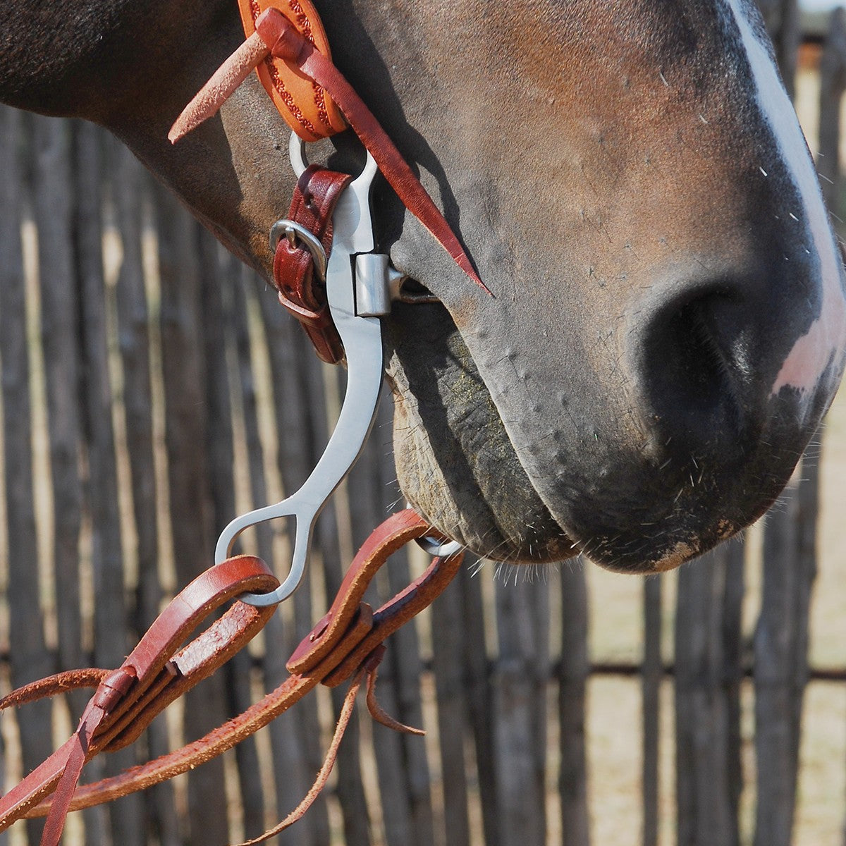 Classic Equine 7-1/2in Performance Chain Bit