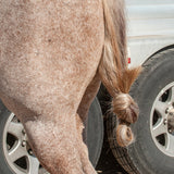Classic Equine Jersey Tail Bands- 100 Pack