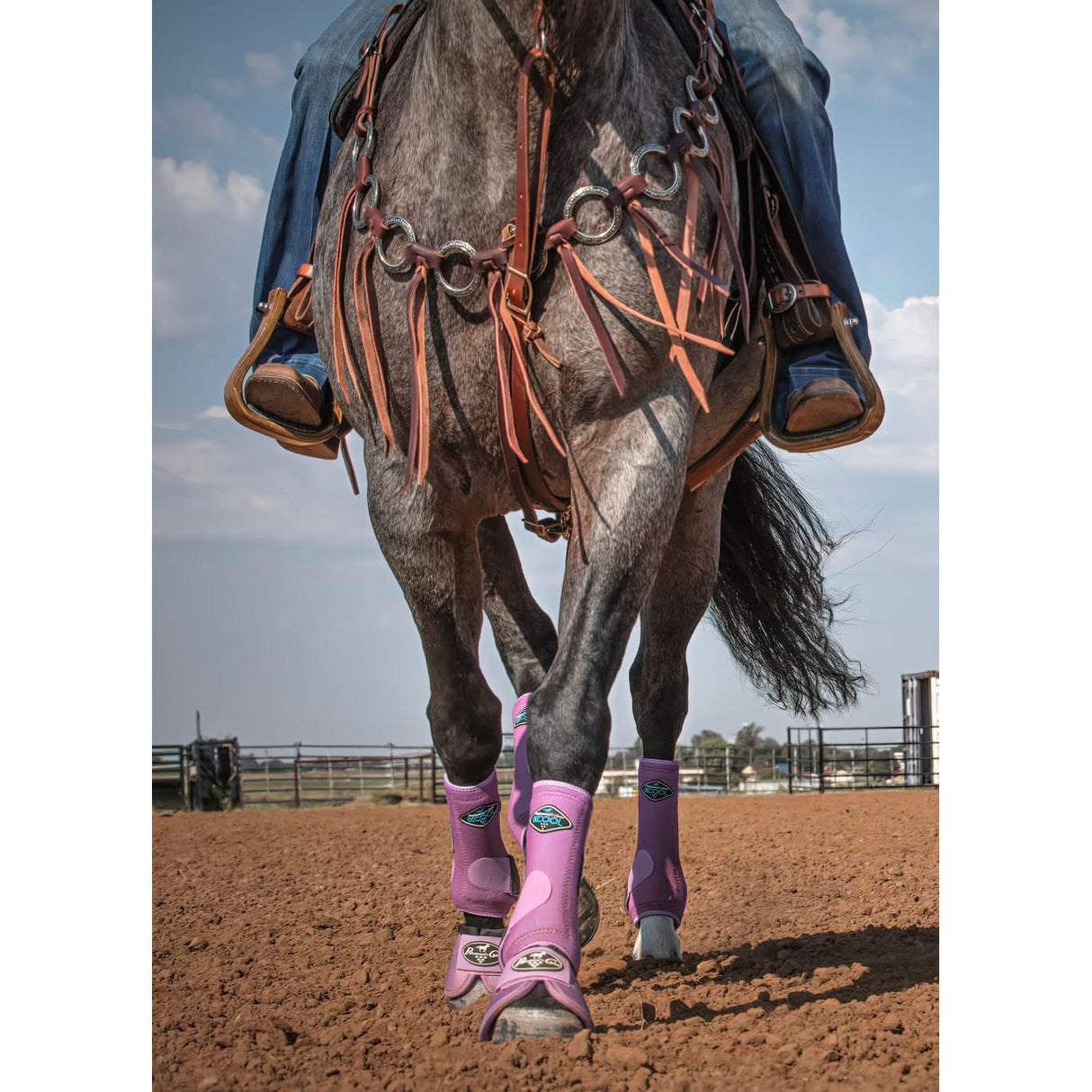 Professional's Choice 2XCool Sports Medicine Boot Value 4 Pack- Orchid