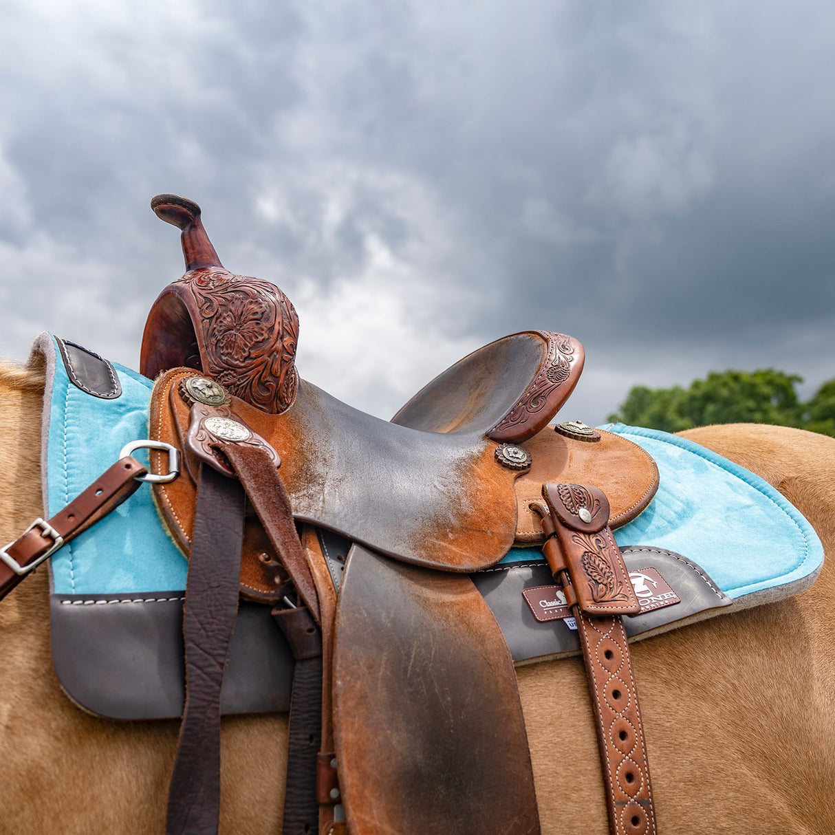 Classic Equine Zone Series Microsuede Saddle Pad 28"X30" - Turquoise