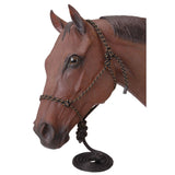 Tough 1 Black and Tan Poly Rope Halter with Lead Rope