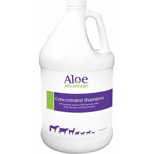Aloe Advantage Concentrated Shampoo