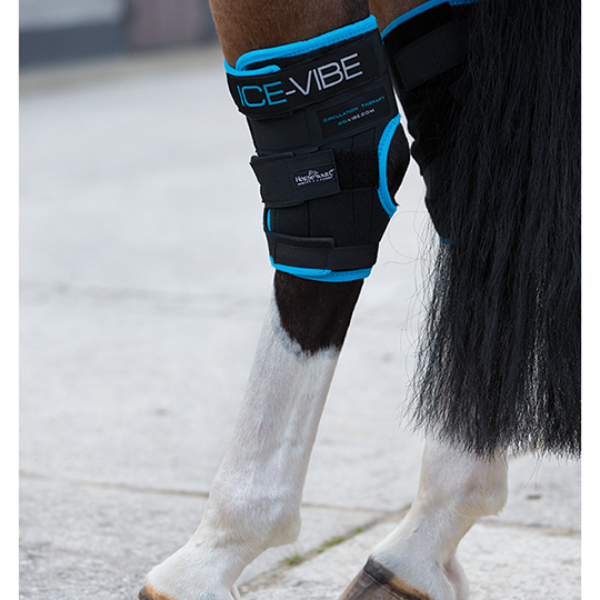 Horseware Ice Vibe Hock Wraps- Full