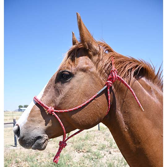 Double Diamond #100 Series Rope Halter- Red with Black & White Tracer