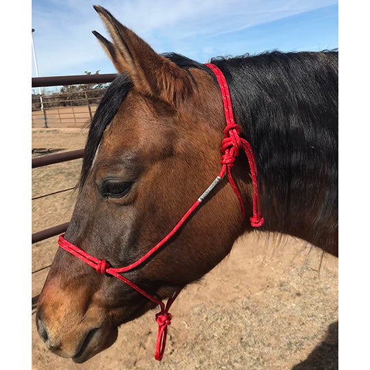 Double Diamond Halter Designed by Buck Brannaman- Red with Tan Tracer