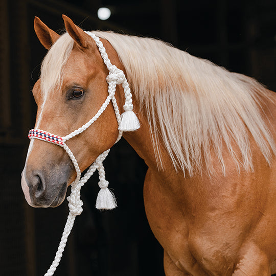 Professional's Choice White Braided Halter with Lead Rope- Red and Navy Stitching