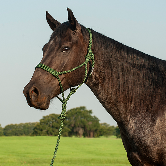 Cashel Flat Braid Halter with Lead Rope- Green