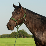Cashel Flat Braid Halter with Lead Rope- Green