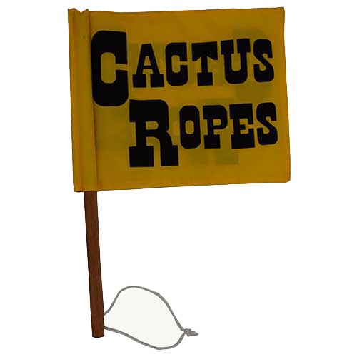 Cactus Arena Flag